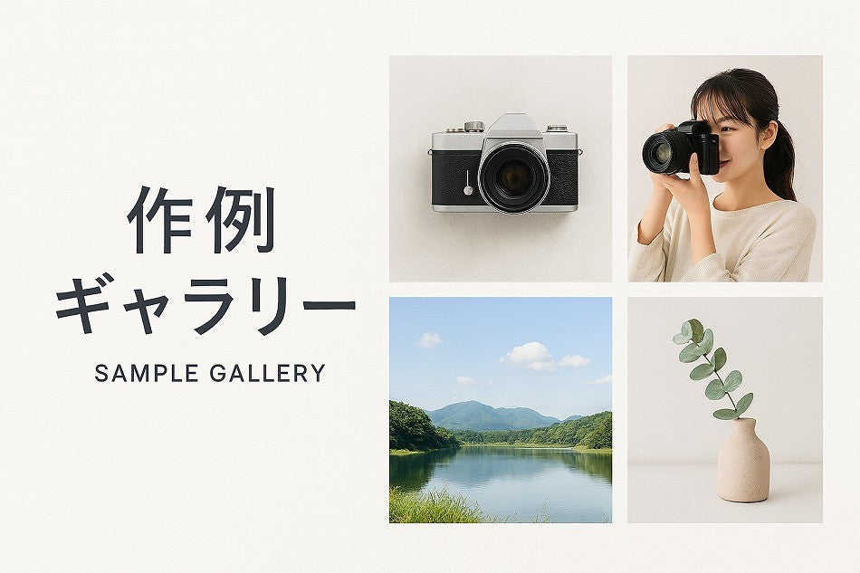 FUJIFILM 単焦点中望遠マクロレンズ XF 60mm F2.4 R Macro　【中古品】